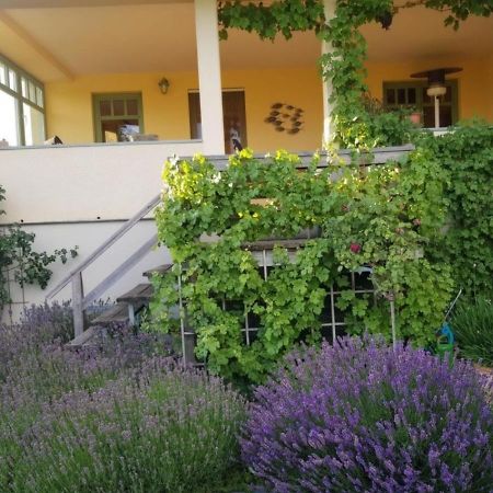 Ferienhaus Schiller Waren  Buitenkant foto