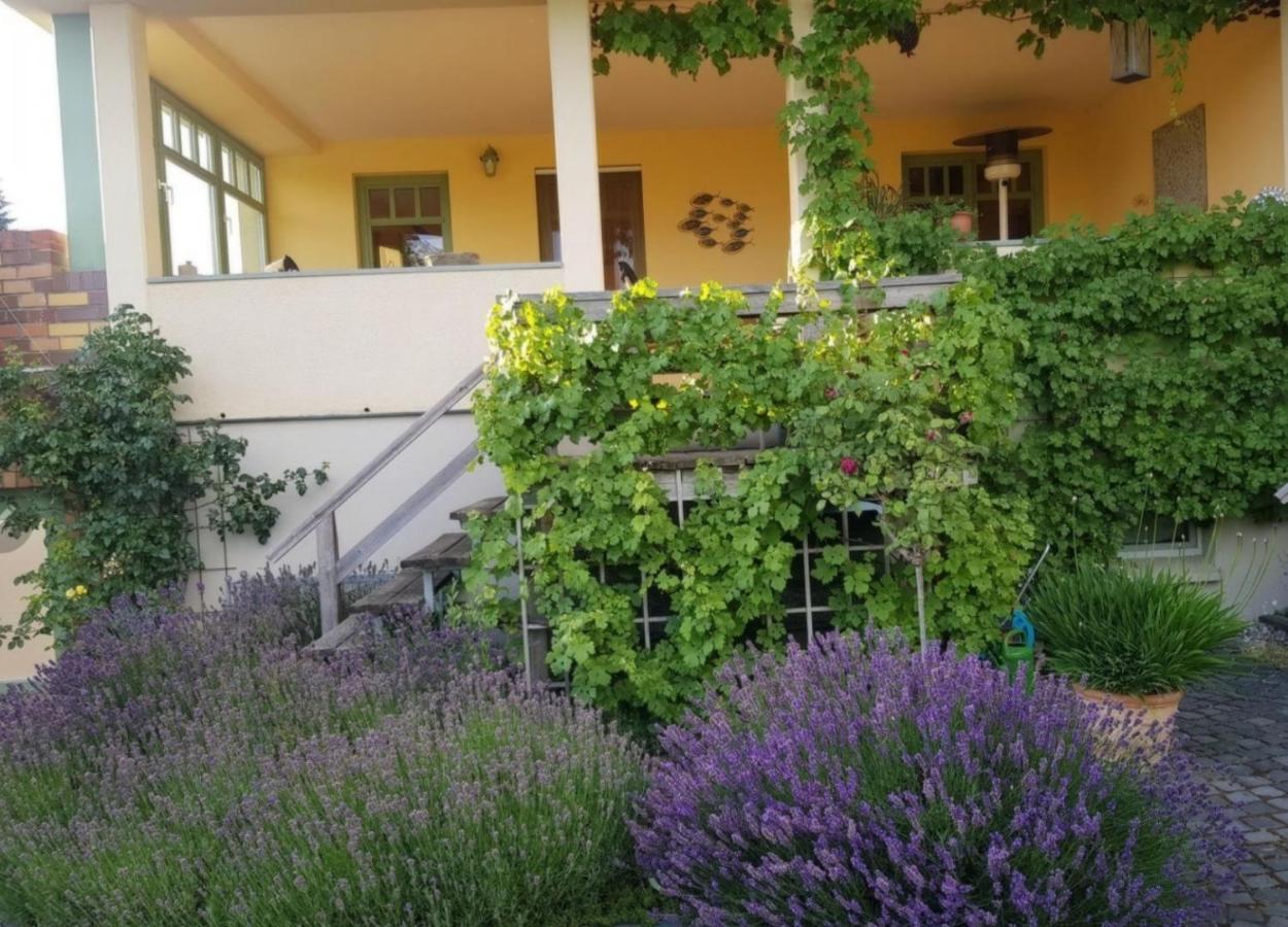 Ferienhaus Schiller Waren  Buitenkant foto